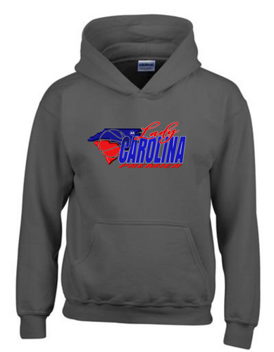 LADY CAROLINA PREMIER Hoodie Sweatshirt - GRAY